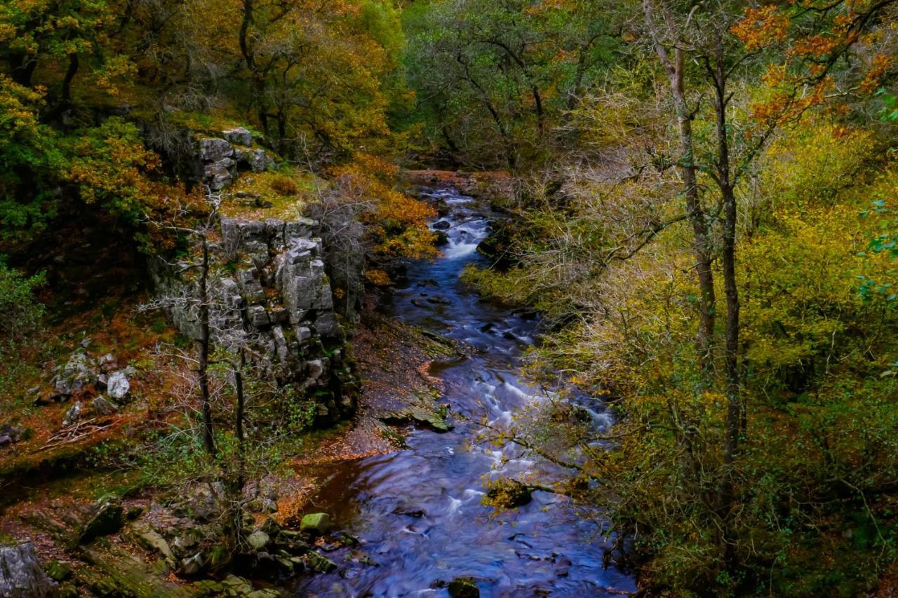 Waterfall Lodge Pontneddfechan Exterior photo